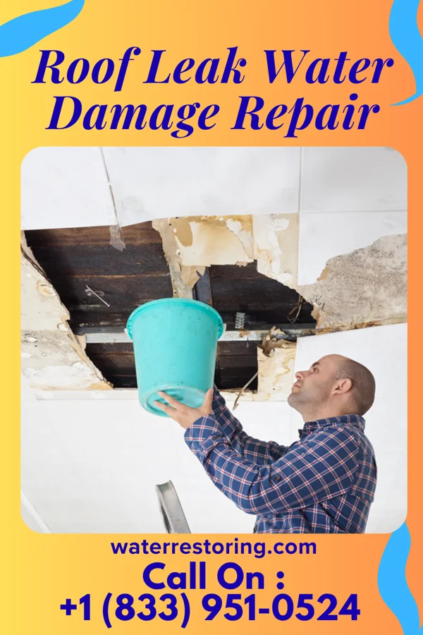 Roof Leak Water Damage Repair in Clarkfield, MN