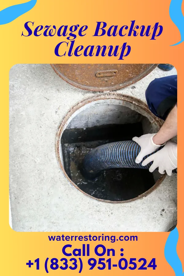 Sewage Backup Cleanup in Clarkfield, MN